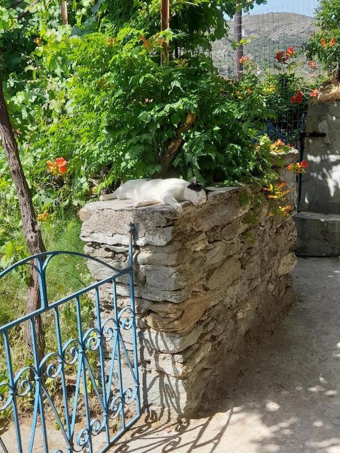 Casa Di Patouria , Stenies Andros Apikia  Exterior foto